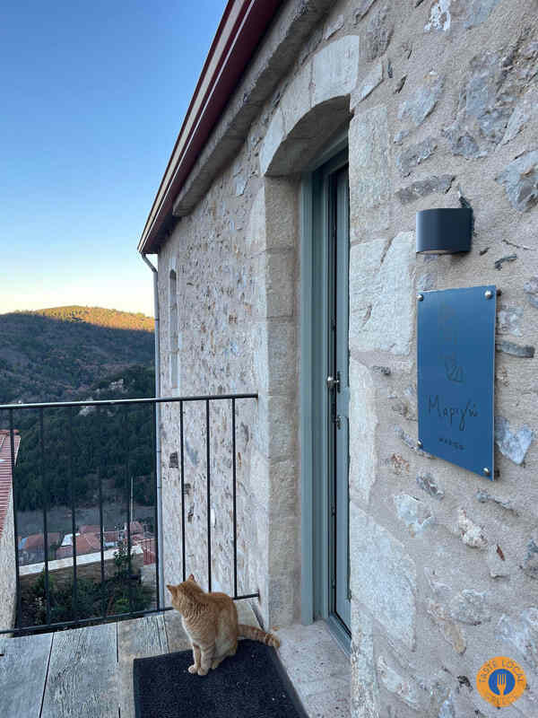 Parnon - Vamvakou, by George, our Gastronomic correspondent from "Taste Local Greece" - Gastronomy Tours img 9220 orig 1 - Gastronomy Tours